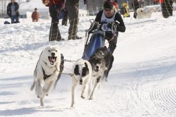 Lenk 2012 SM